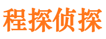 合山市调查公司